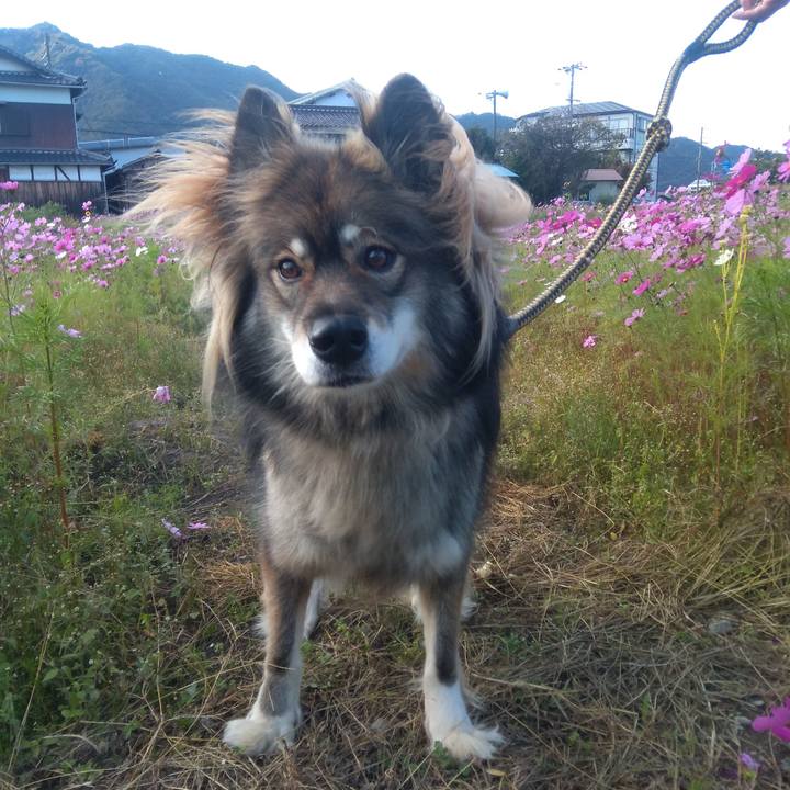 90bd8749 47bb 4746 903b 7ea5b11d83d6 1635402641410