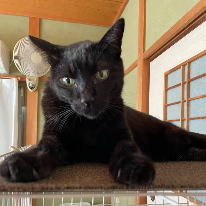 90bd92f5 fbd6 4710 aa7b e93d2ac98943 1632188698772