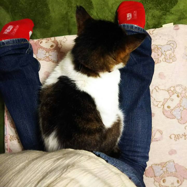 90bdbd52 1ded 41cb 8ea6 46d340e74bb1 1558448340310