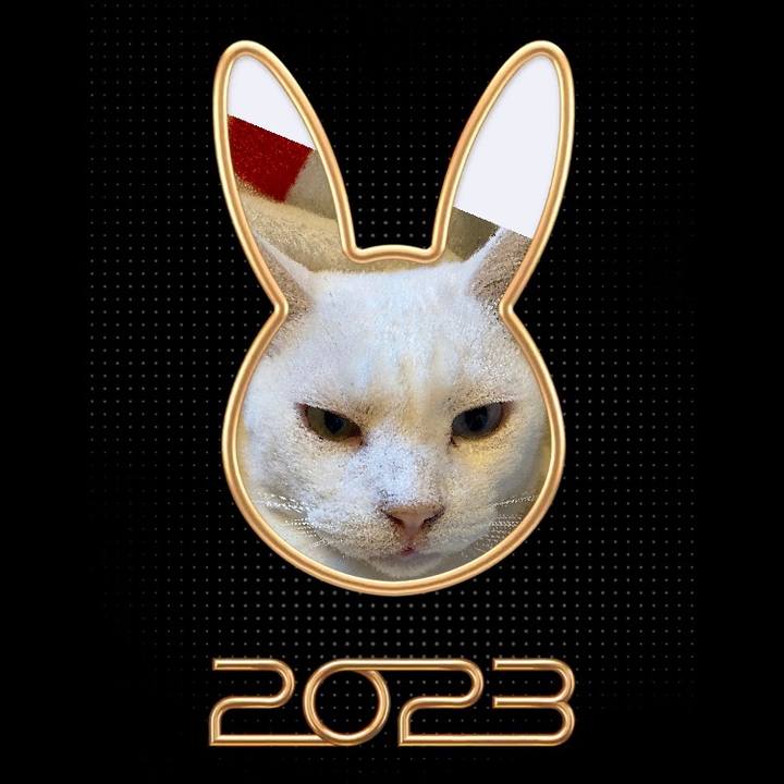 90bde293 7a03 44f5 824c 0288d2dcce25 1672614166172