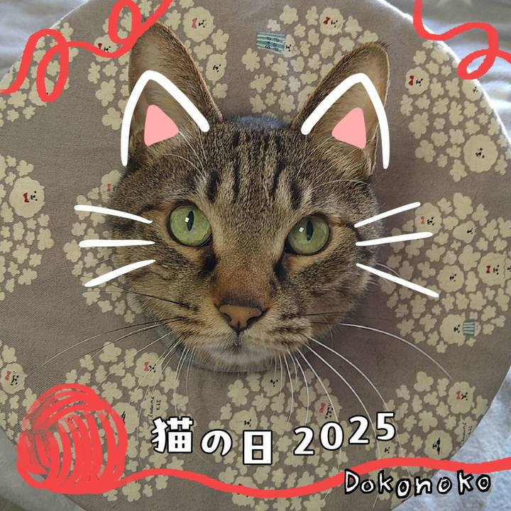 90bdeca4 2e73 408a ad15 0df8d46ba8a8 1740189829279