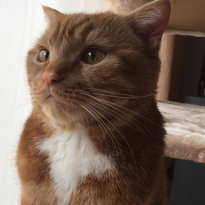 90be1f53 ef82 4b45 921b 73b8308b54f1 1551657182405