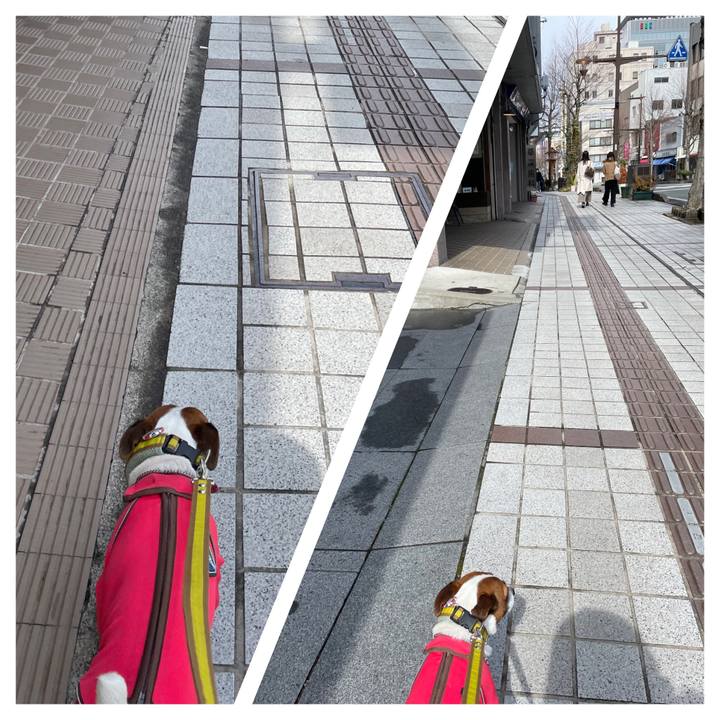 90be3c68 244f 455f a945 06d50ee15336 1646542958332