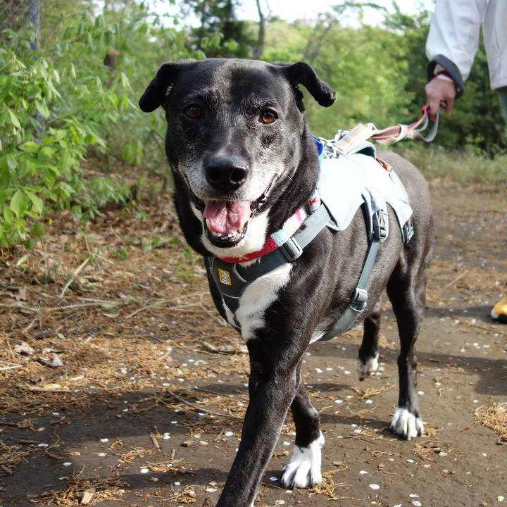 90be5426 e688 41fd 9239 31d14b45956e 1744852754940