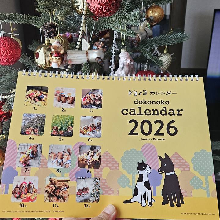 90be5b46 e59f 4410 b7fb c9e637b8f54f 1763698393834