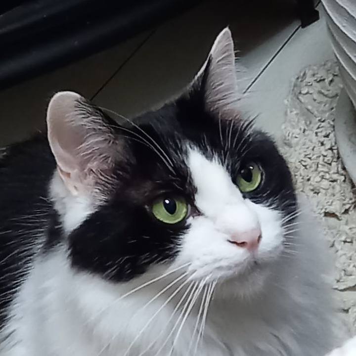 90bee671 1bf9 4a99 9701 5af5d9da6bbe 1620951021725