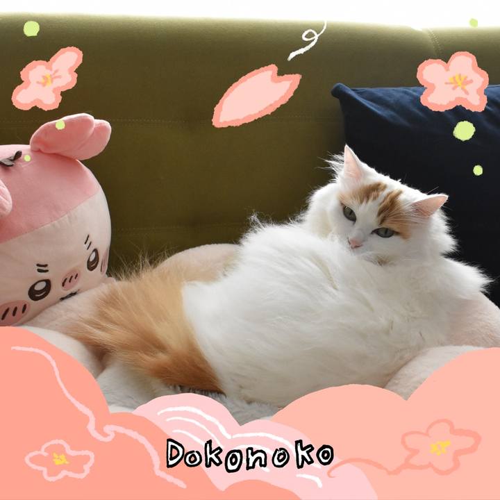 90bf0460 9b90 4d51 be5d 38b14f00b19f 1775188333439