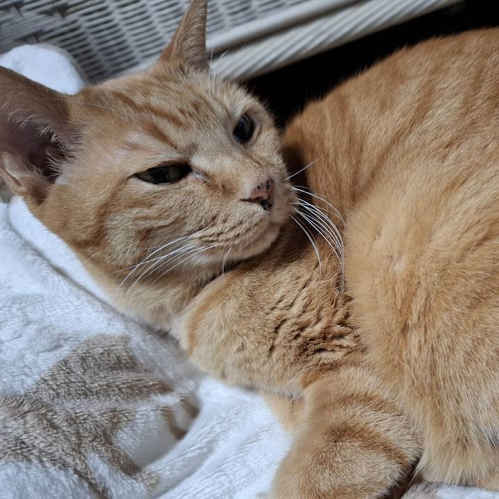 90bf0f0e a0f4 46b9 b7b0 a6e90ab4f46f 1738018380266