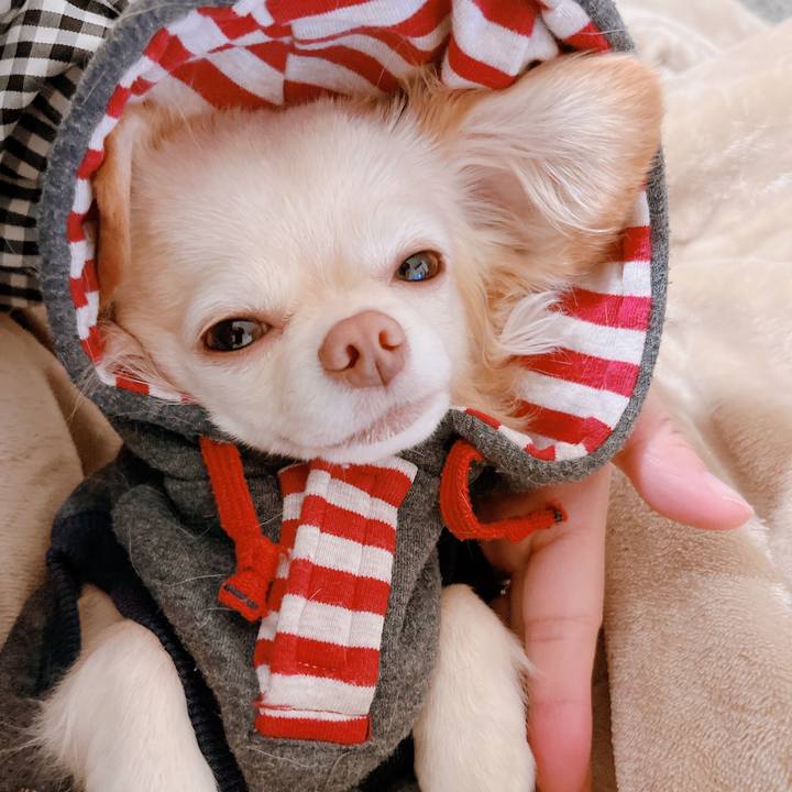 90bf5093 7f04 4d2c b146 f977b084e779 1669985327475