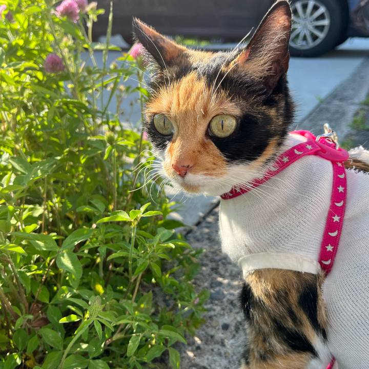 90bf64e6 aca9 45ad b8ac e5265fa86eca 1657177819537