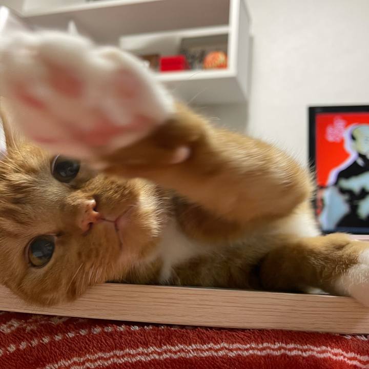 90bf8907 8fba 480f b666 d04ea0f097f2 1615296503407