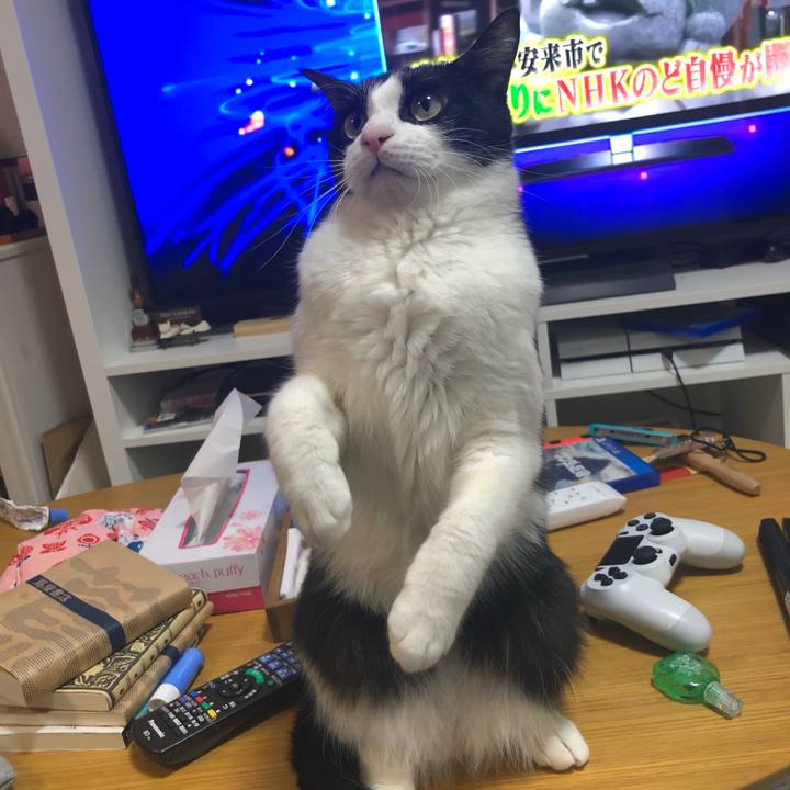 90bf8de6 de9b 4188 857e 0e383f283db0 1519013473542