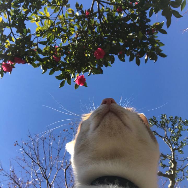 90bfac80 44f9 491c a10d 6e04e4449ff5 1512094712465