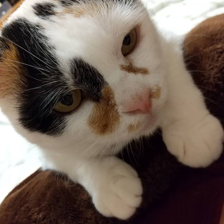 90bfba51 c5d5 4c6a 8110 1a7c6da29c88 1634996483208