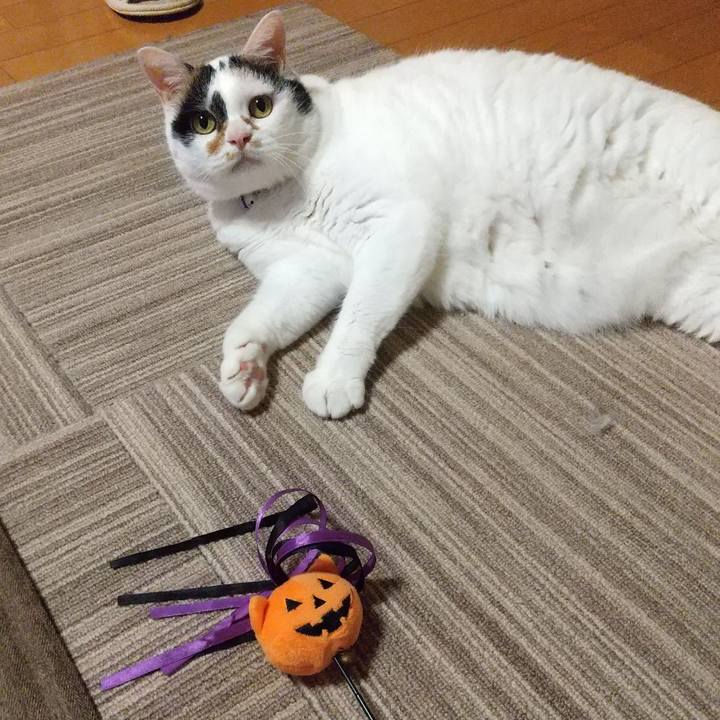 90bfcb32 d4b7 49c2 8630 809911c44627 1631184422321