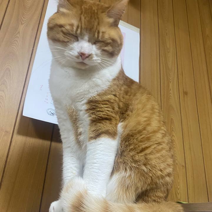 90bff649 23eb 4546 9359 ca0c7d3d11ce 1645492490573