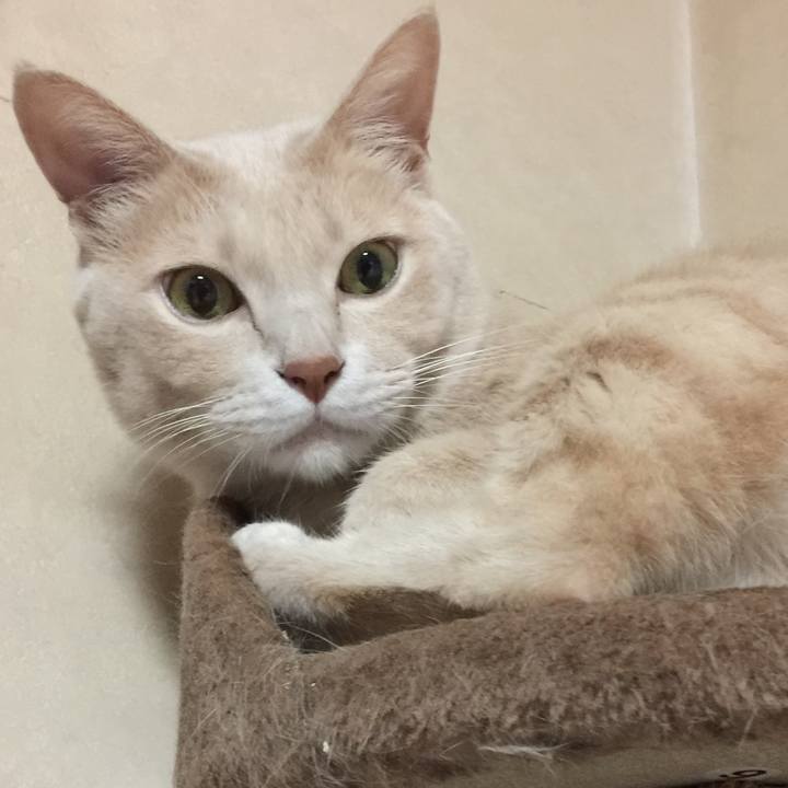 90bff8b2 5676 421a bdf4 2476e1086f70 1620013628407