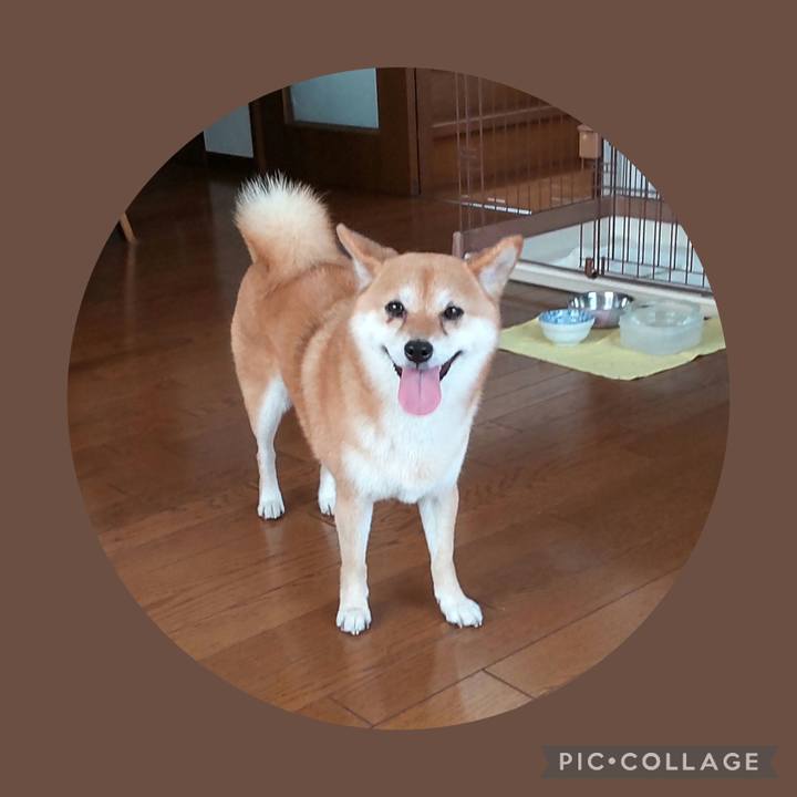 90c02751 56ea 4fac bef3 31138f05c10c 1731285848208