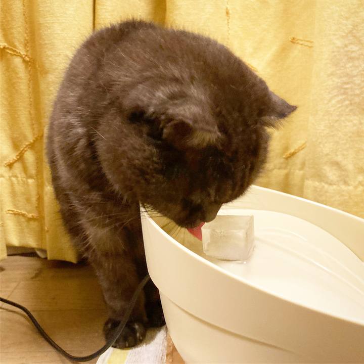 90c09510 f2df 4b25 81ea 0c1ad0d4f39a 1638523974155