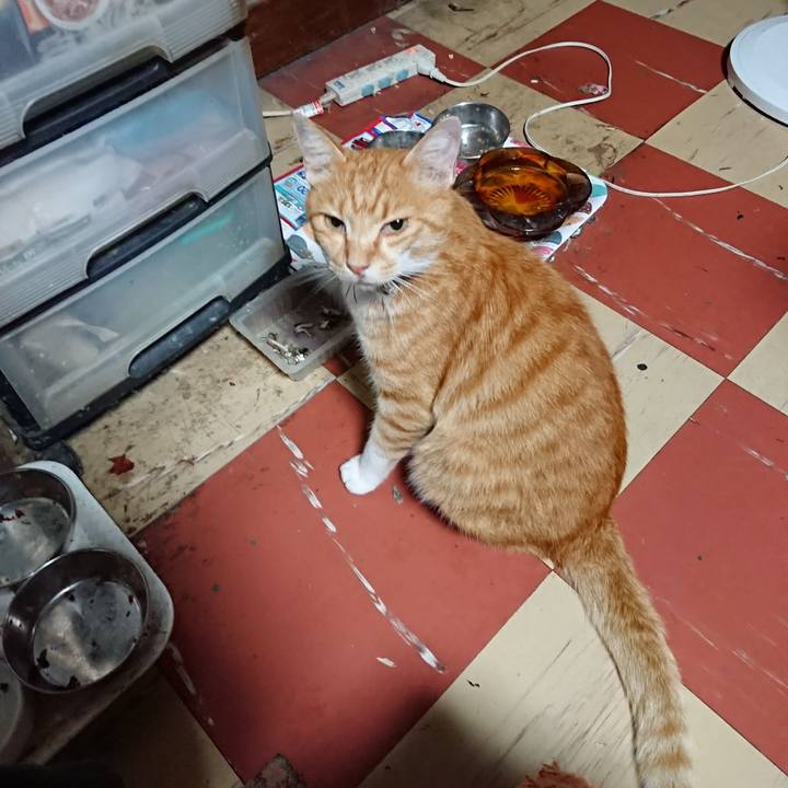 90c0aff4 850c 4eda b5df 4b2080d6805e 1596657843914