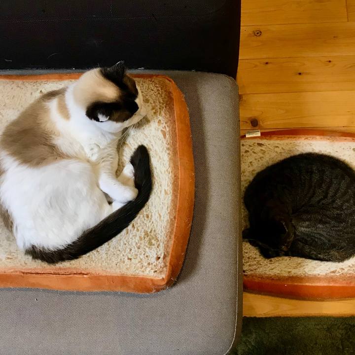 90c0b78a e596 4e20 9543 f5d5737380fc 1586231205640