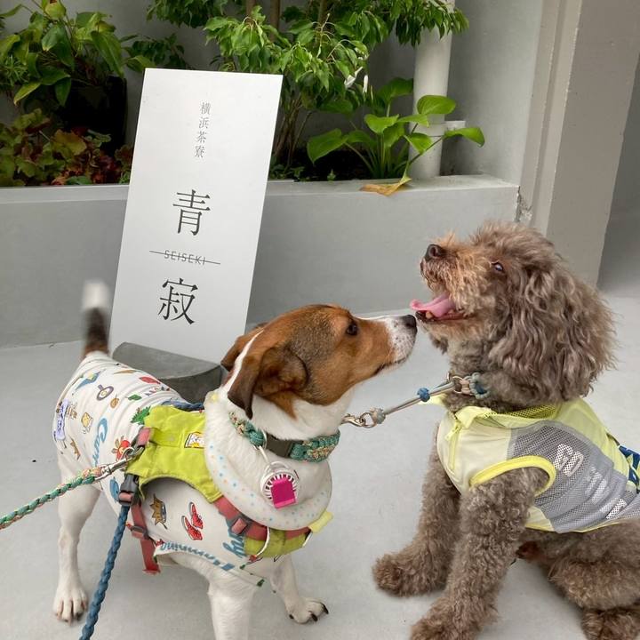 90c0e01d 6975 4d03 afb3 b49621ef2eca 1754215832317