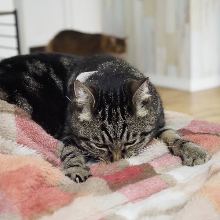 90c10d2d a6d0 4cba b38a 5a21098686b8 1685072580607