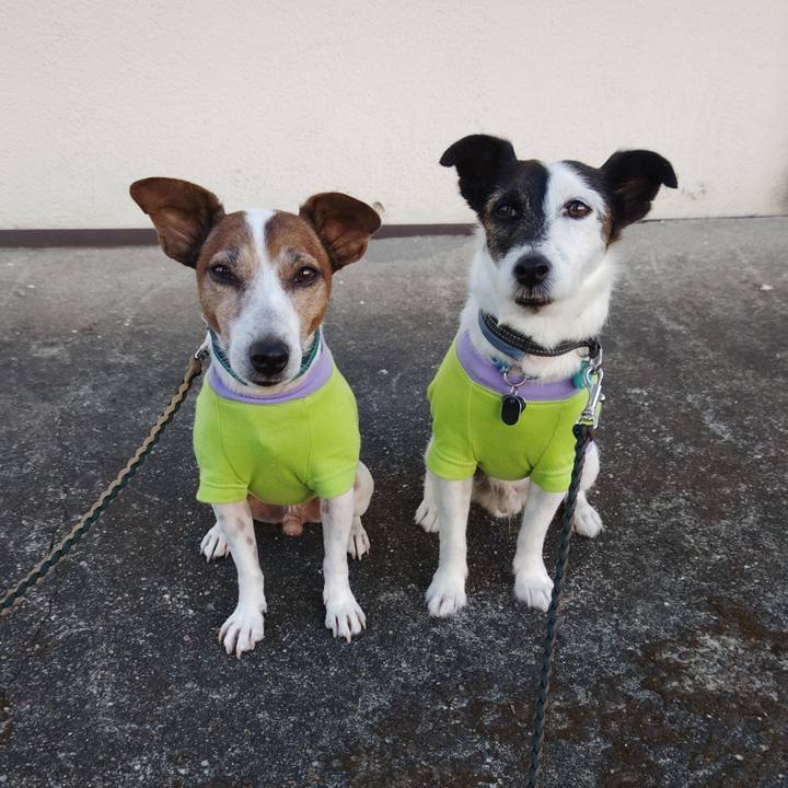 90c12e86 103b 4136 826d 9644ed98ef0d 1757281373278