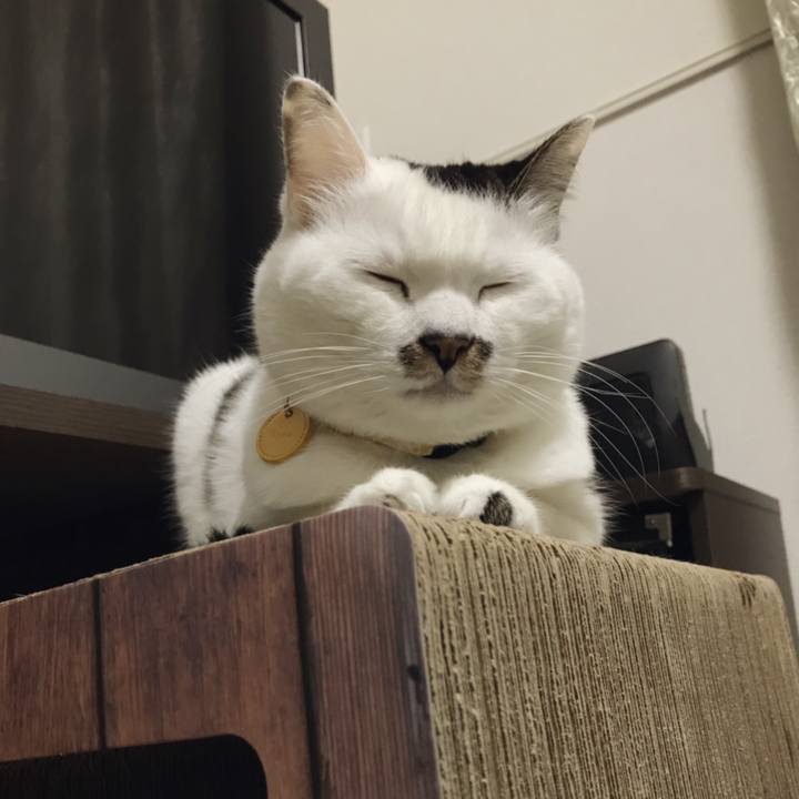 90c1542b 407b 4717 a5a4 5f413b6aa1fa 1545879138070