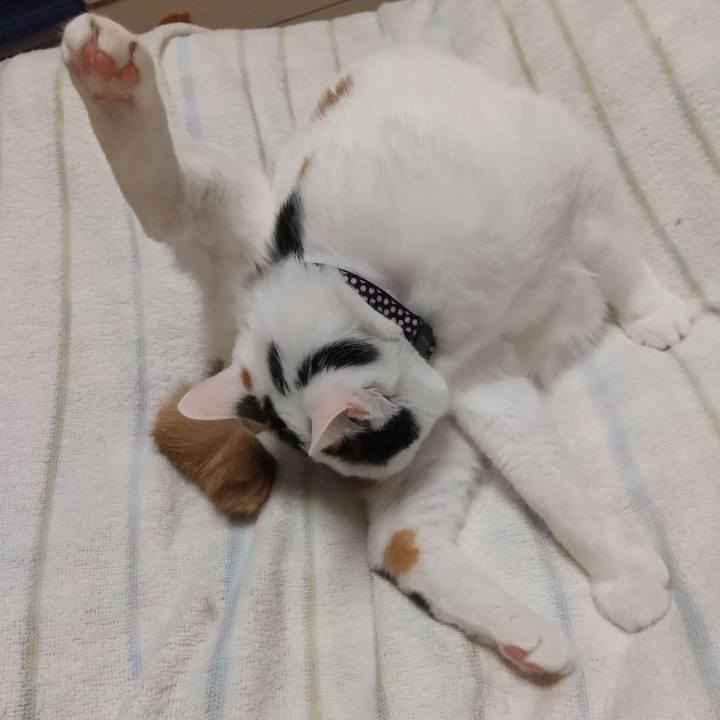 90c1600f 2388 485a 8c92 4845c3039833 1589725410786