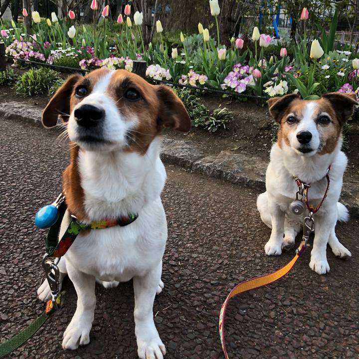 90c172b2 55bb 4d96 aff7 1d9f3061ea43 1522458177130