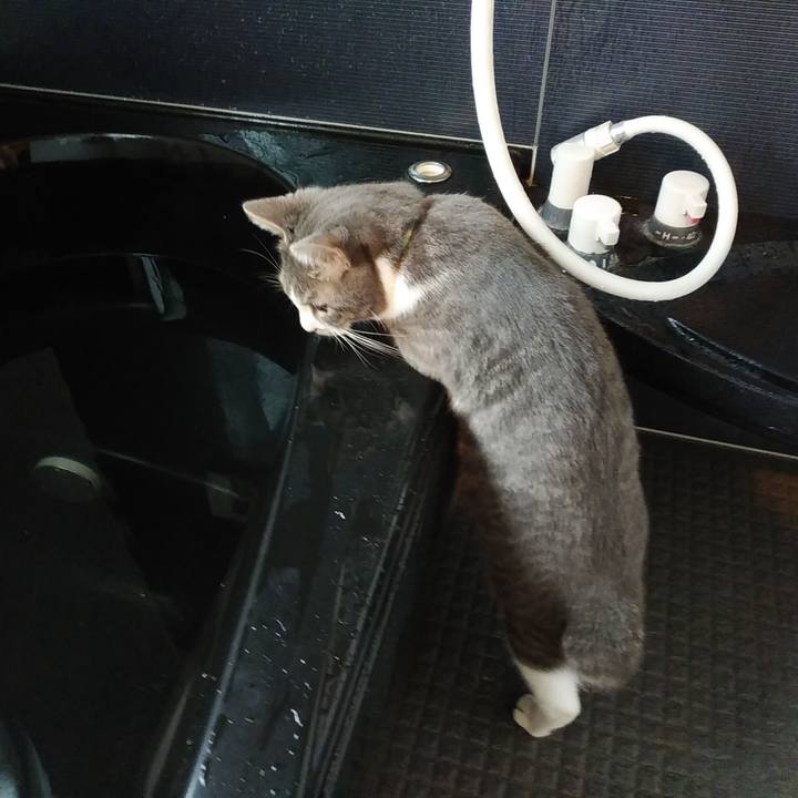 90c1c91c 6f78 401b 8ee8 cc928ec233a9 1579649621368