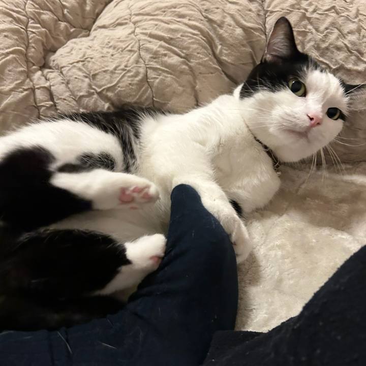 90c1ea07 5798 4c90 af52 c2714e5e36e3 1762647959026