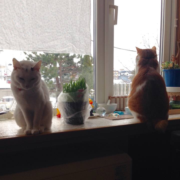 90c2199c 42ed 4b3b 897d 0c75ead76a64 1515051639777