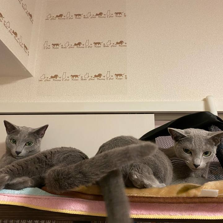 90c22877 b3f0 40dc 9e5b c673dfa4eaff 1640214929208