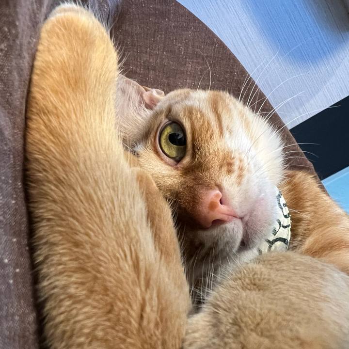 90c231f4 4d02 451a 96dc 4b6826db44b3 1679816881415