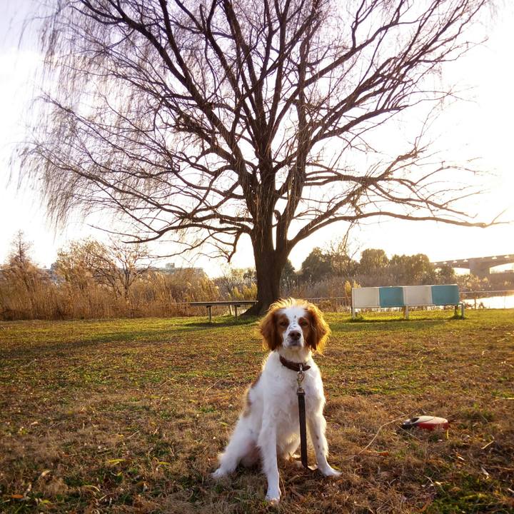 90c24109 6fc6 4008 b2e7 bac12d3d4f58 1514533575324