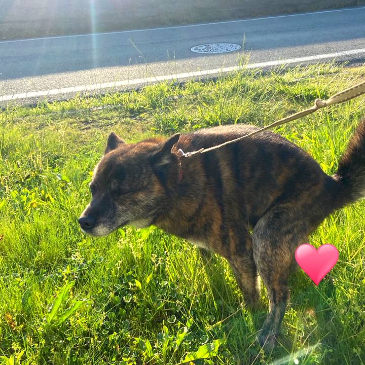 90c253e4 abe1 43af a743 e51b2c8514ad 1589360212873