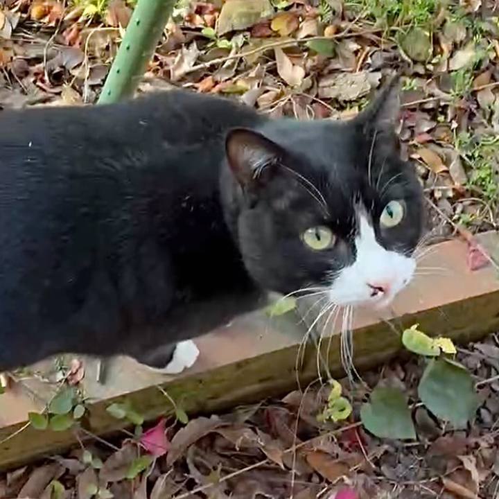 90c26904 fbac 4c25 b40f 4c7522779447 1770864796074