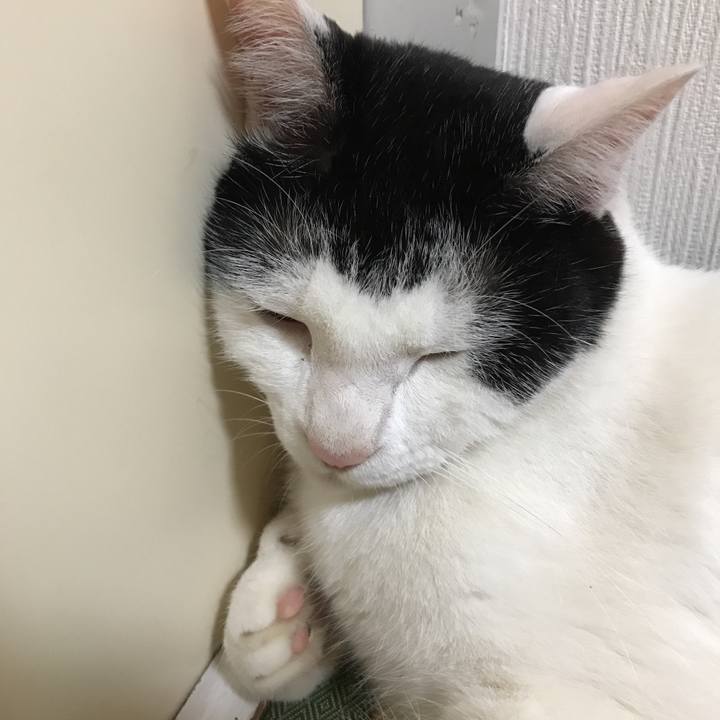 90c28c78 4058 48be 95ec 5a9742cdf014 1528886456774