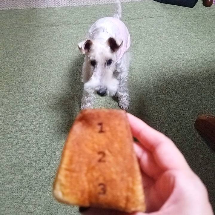 90c2b5dc 9a32 4ab0 a79a 0deec56d6aad 1542203724551