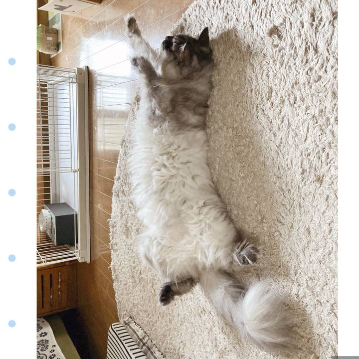 90c30648 7d8d 4525 b0df cc540ed25f7b 1713310377145