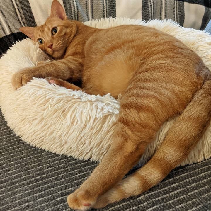 90c3447e 9e4c 4f5a b35a ab4911508bde 1660785866052