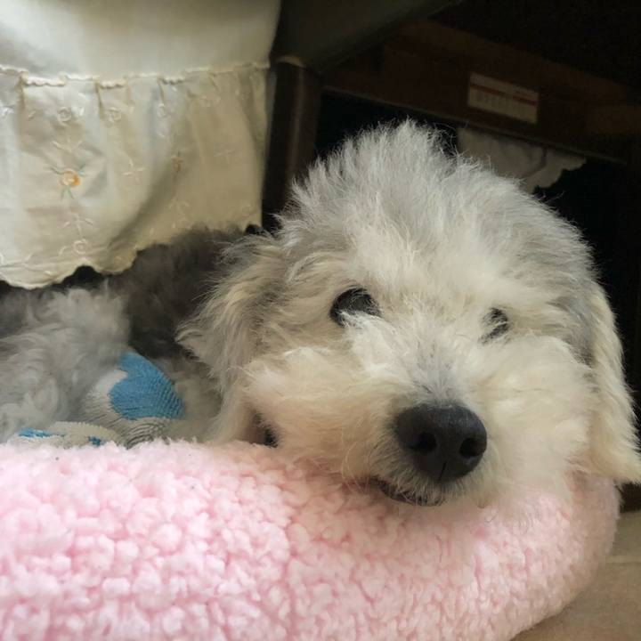 90c39f38 a8c2 489e a9ca 504f394ab7c1 1664237173878