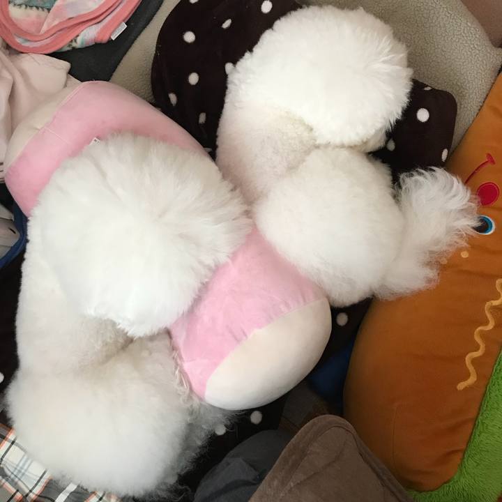 90c3bc21 3275 4ed6 ad58 ab156642686b 1552184219774