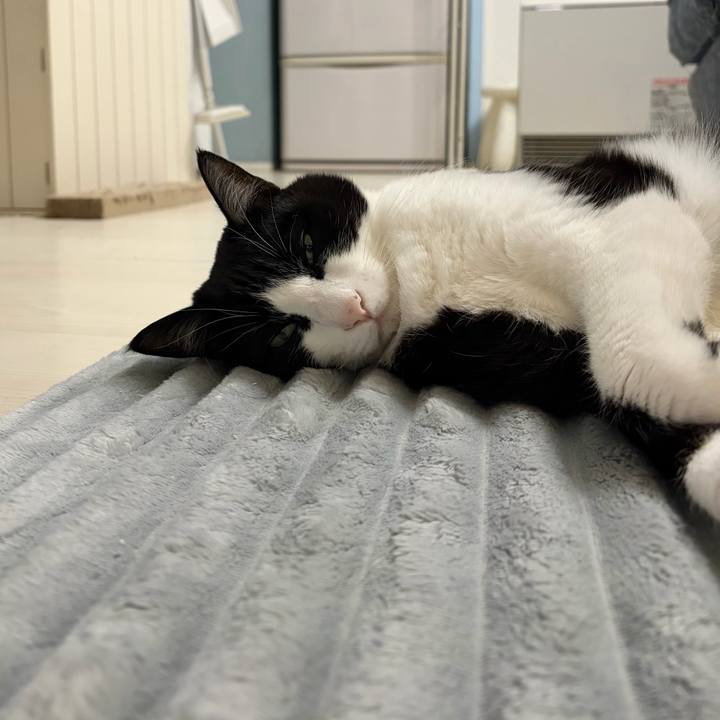 90c3bd60 ad2f 4e5a aeee b8feb0e51806 1765027487069