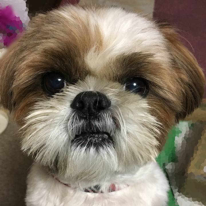 90c3f90d 27f5 4755 99ef 5ca6f26240c1 1507944012404