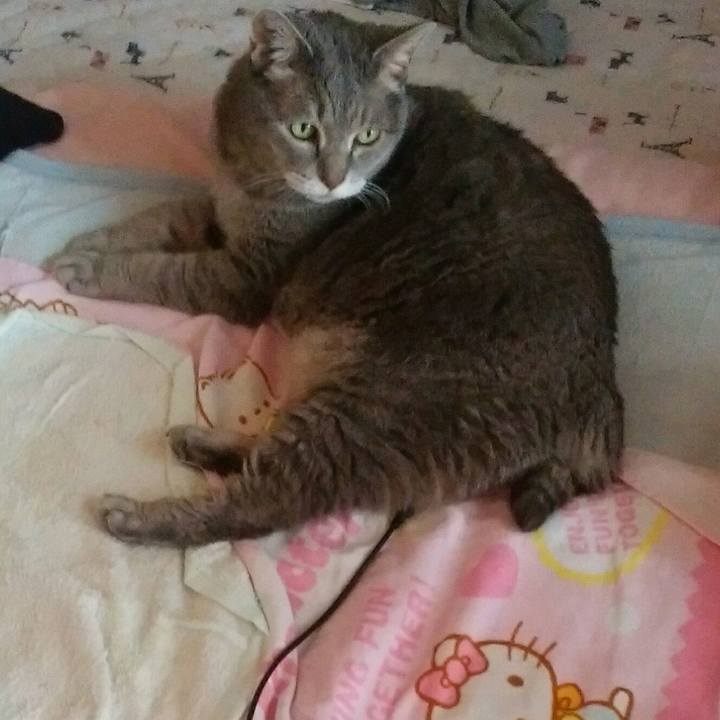 90c42764 a5a7 42d9 a36f a7d866328c92 1595553423392