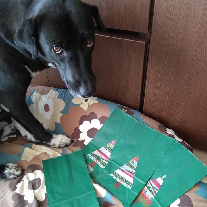 90c467a4 2092 4be6 bb12 2e27ab3b0dc6 1605004330186