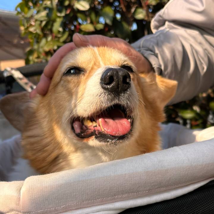 90c4731e a8a6 4a13 99de 554c57ef8e37 1770953366538